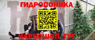spice Кизляр