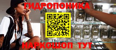 spice Кизляр