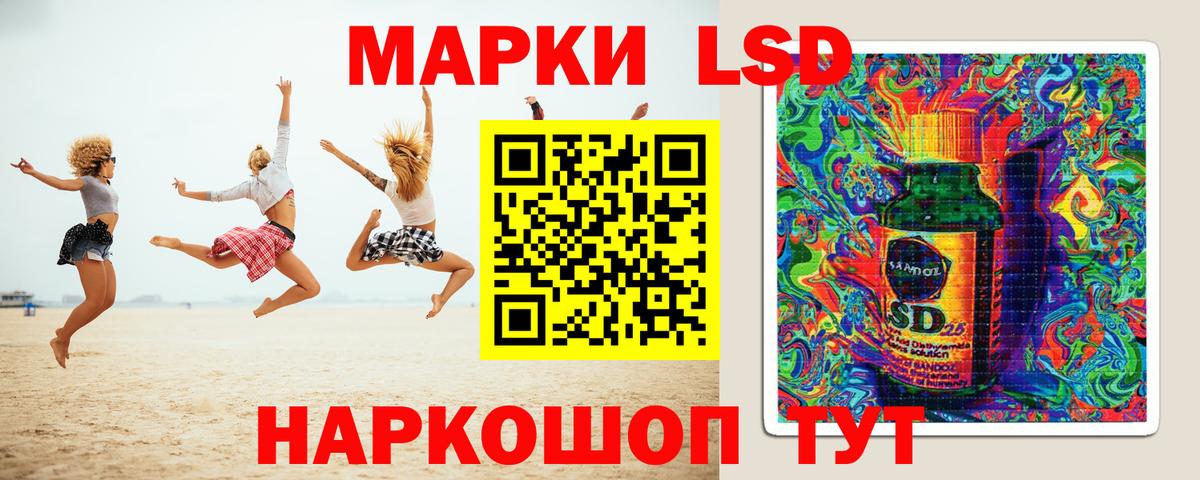 Реж  блэк спрут как зайти  Вход с VPN  LSD-25 экстази кислота 