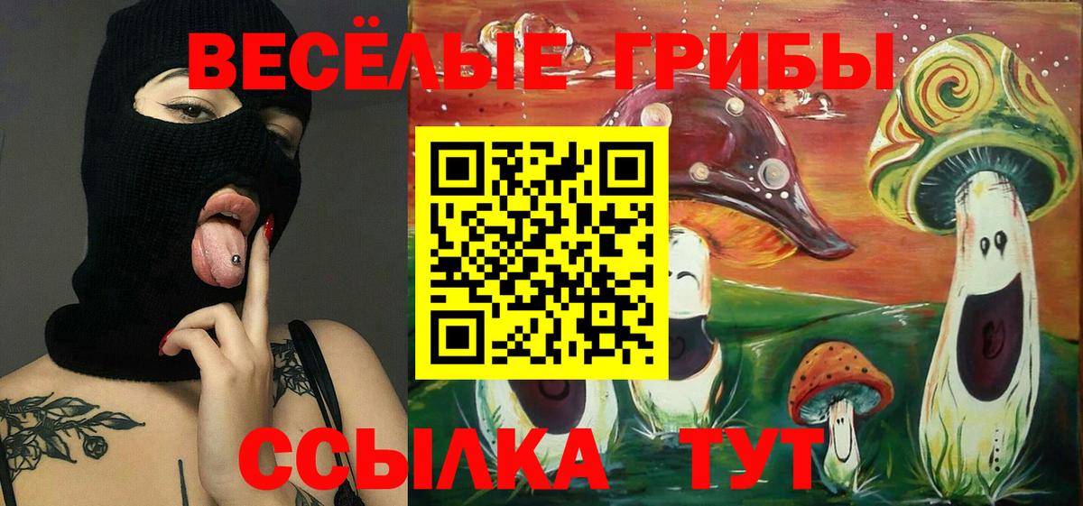 Реж  Псилоцибиновые грибы прущие грибы  Вход с VPN 