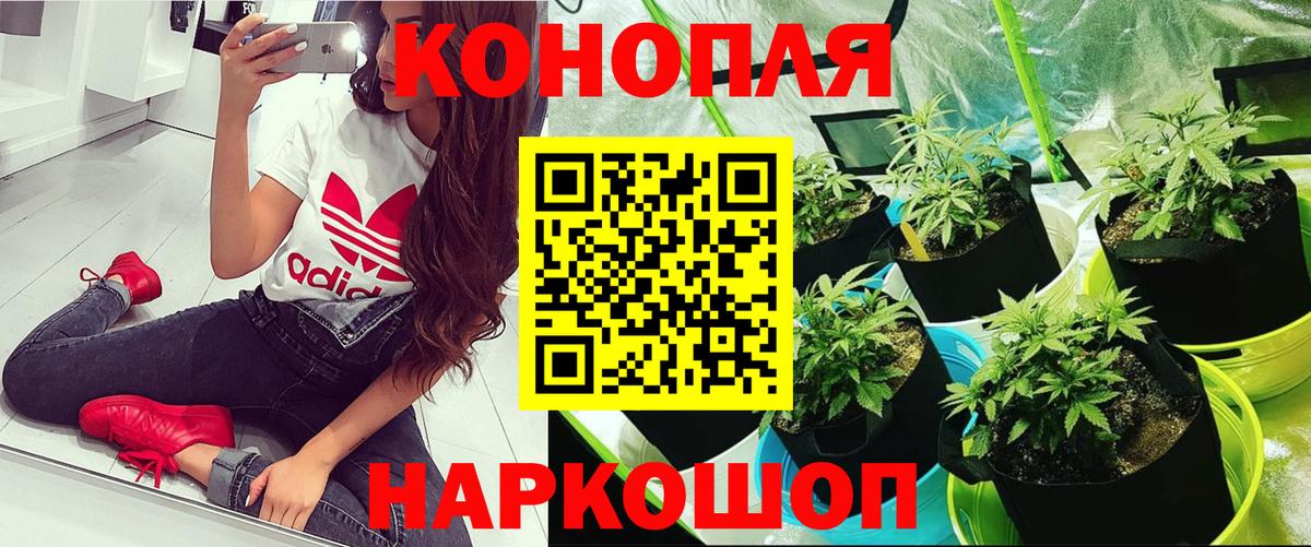 Реж  Шишки марихуана Bruce Banner  Вход с VPN  Бошки марихуана AK-47  Бошки Шишки OG Kush 